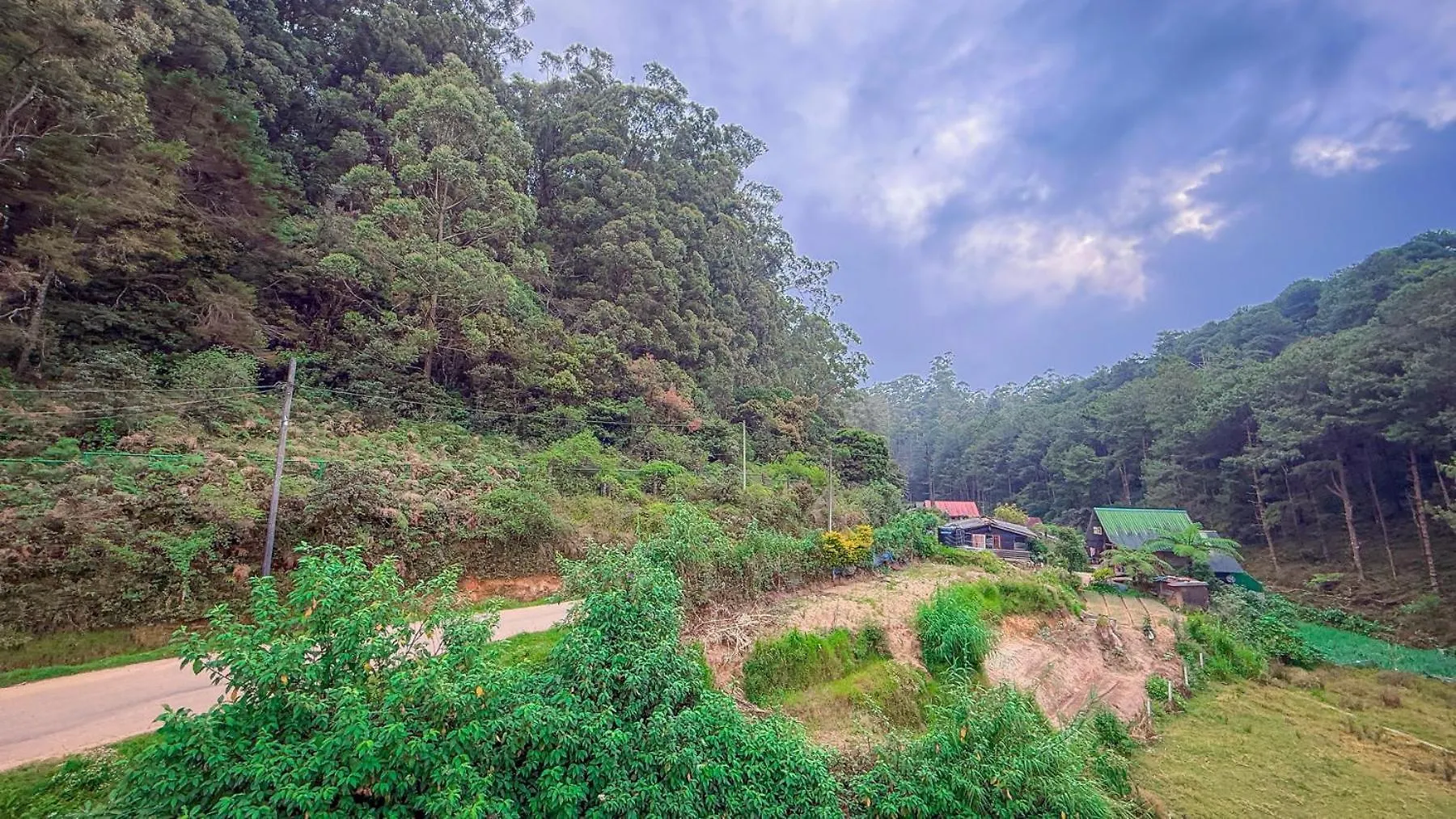 The Backwoods Cottage - Nuwara Eliya