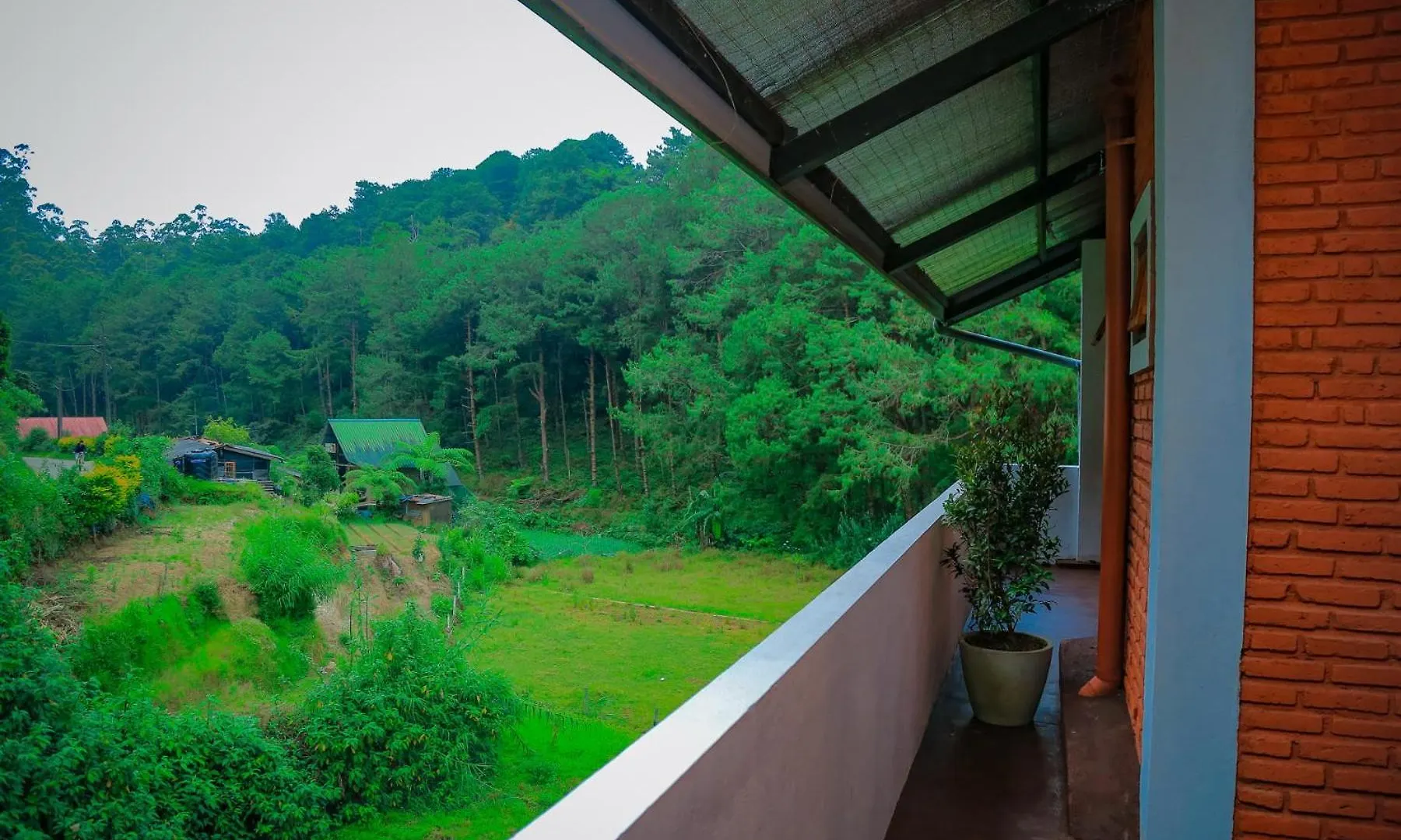 The Backwoods Cottage - Nuwara Eliya Sri Lanka