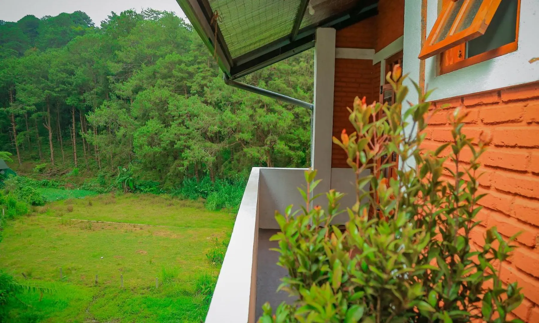 The Backwoods Cottage - Nuwara Eliya 0*,  Sri Lanka