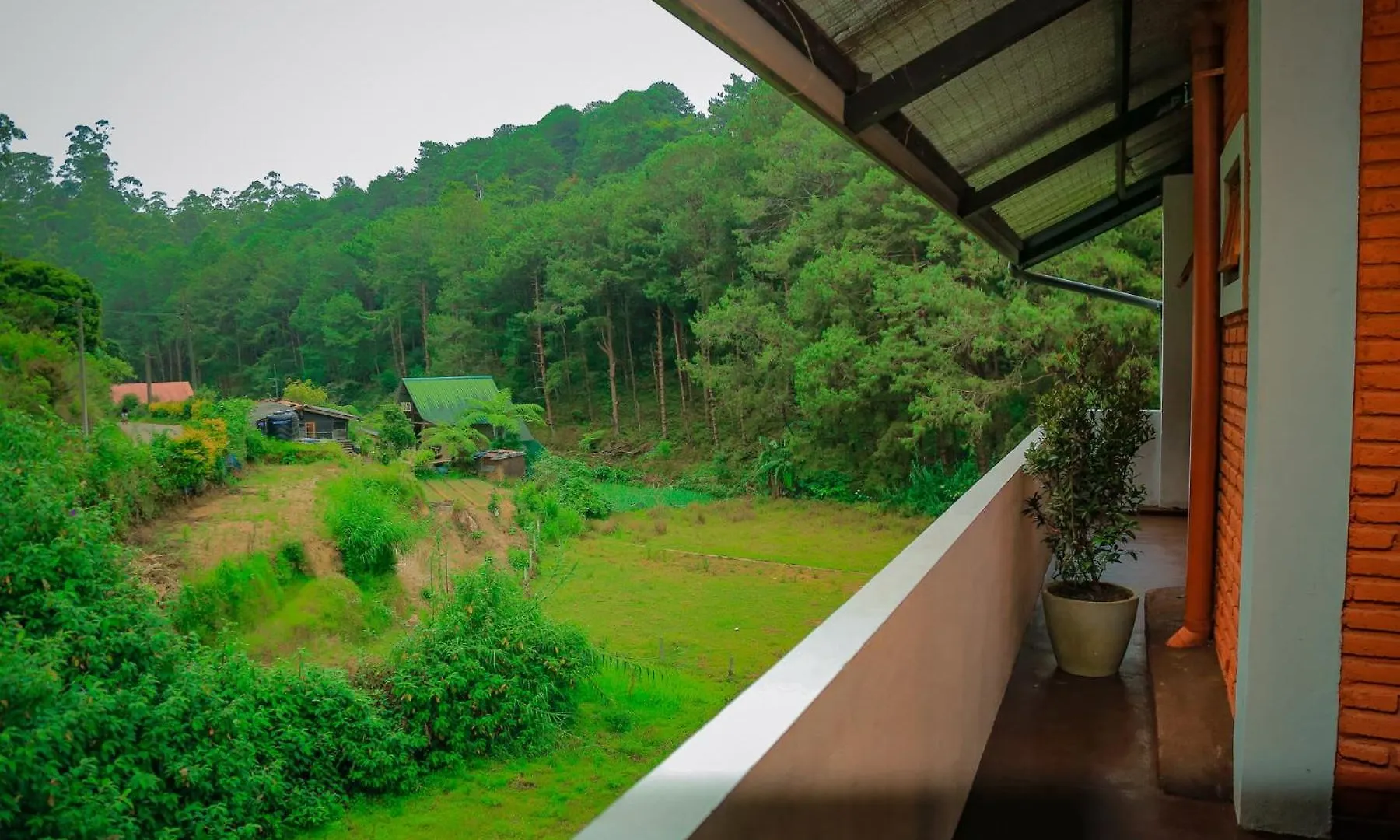 The Backwoods Cottage - Nuwara Eliya Apartment