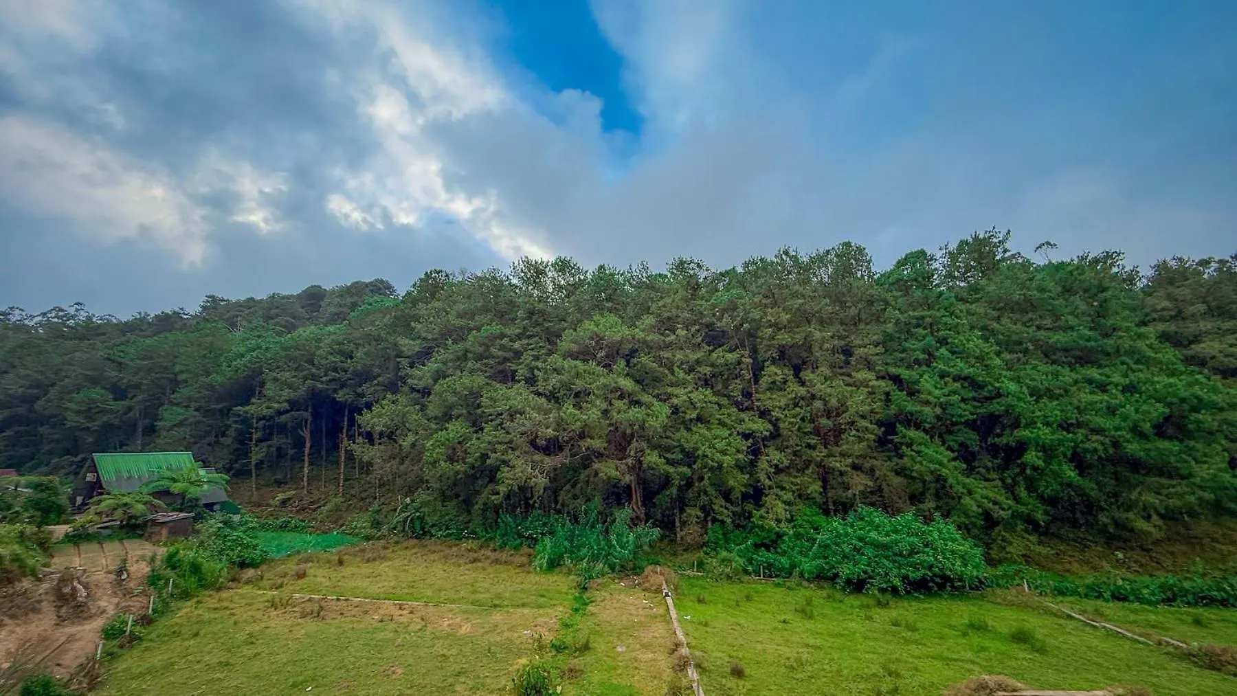 The Backwoods Cottage - Nuwara Eliya Sri Lanka