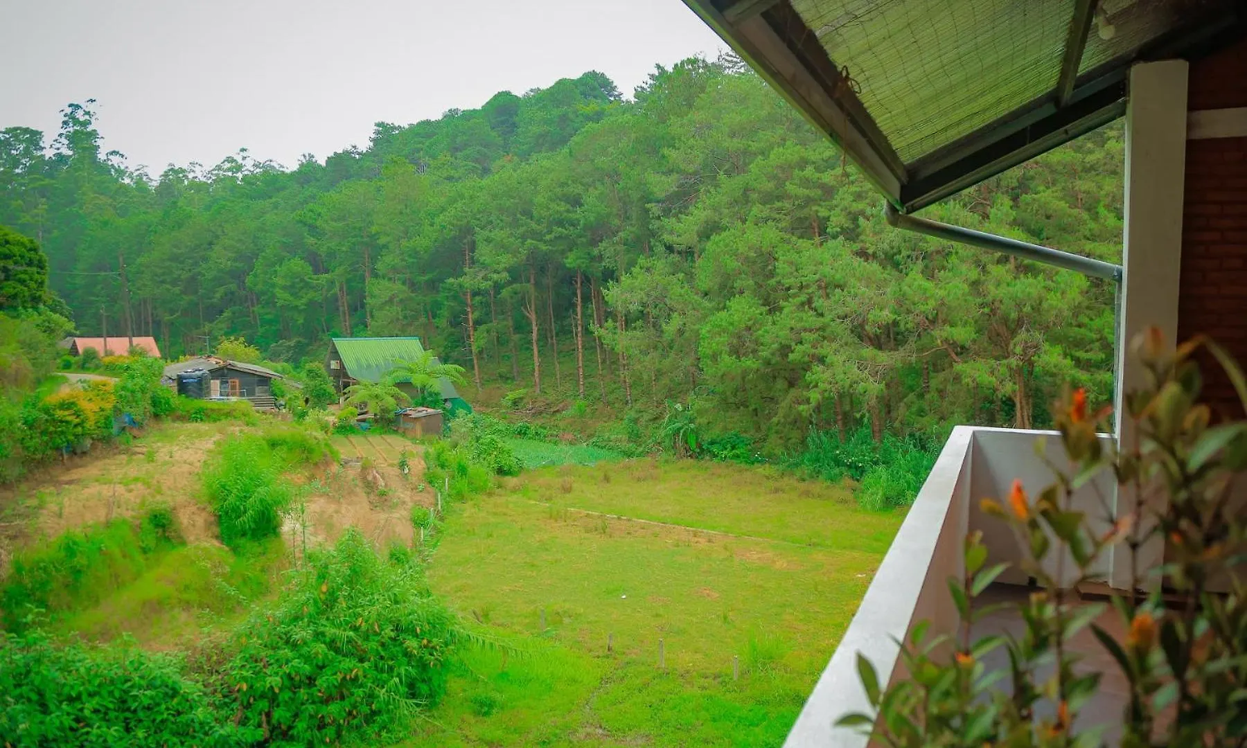 The Backwoods Cottage - Nuwara Eliya