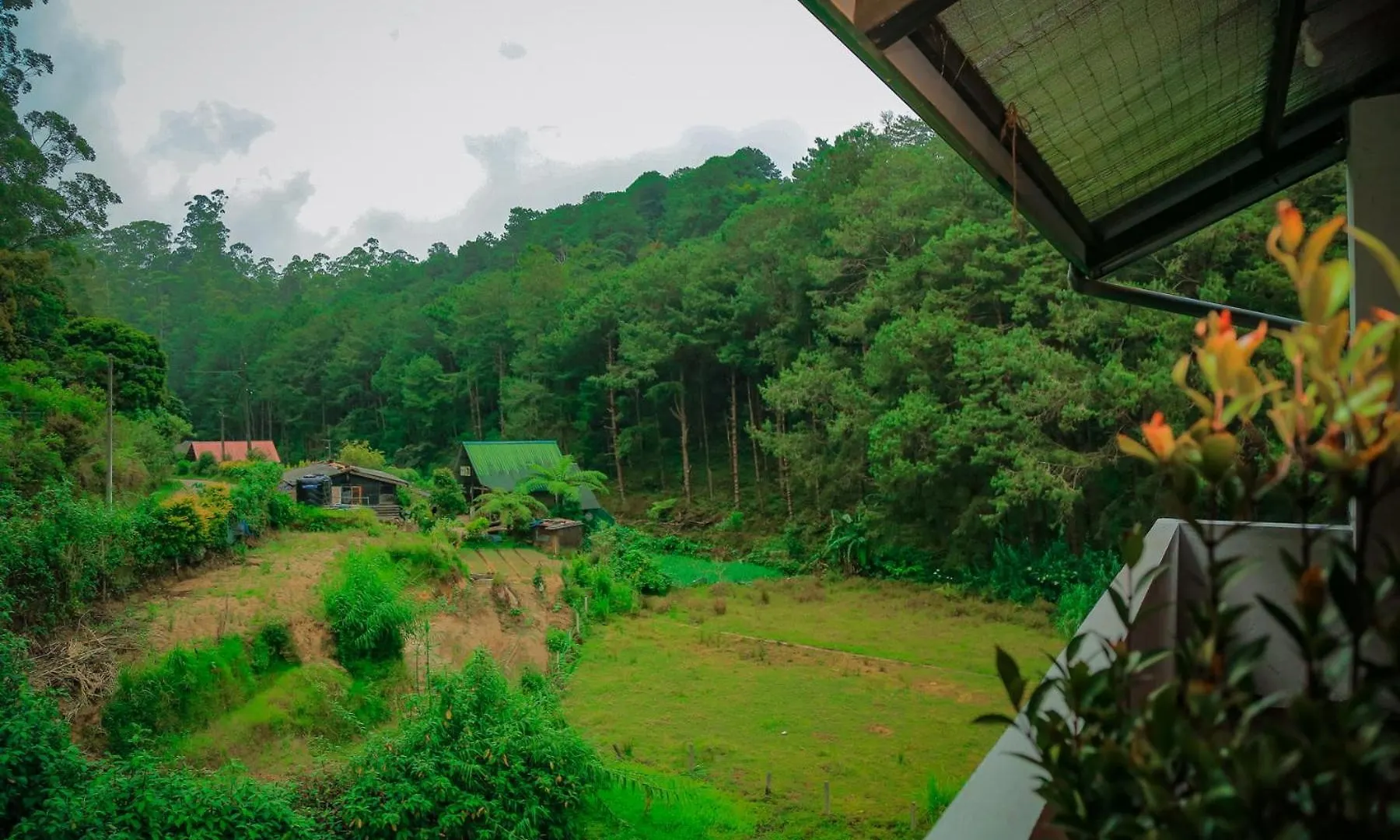 Apartman The Backwoods Cottage - Nuwara Eliya Srí Lanka